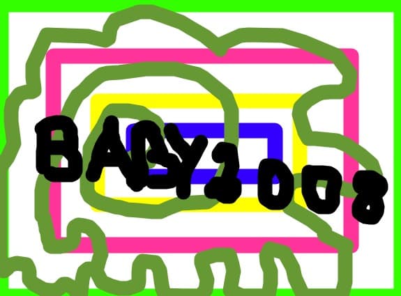 baby2008