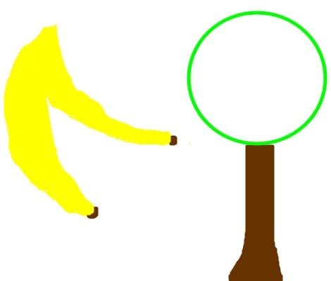in jungla