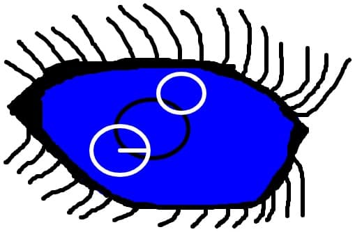 eye anime