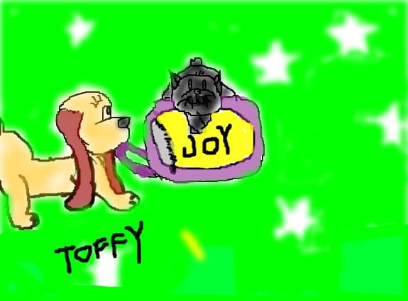 toffy&amp; Joy