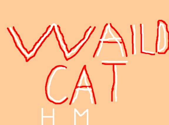 Waild cats