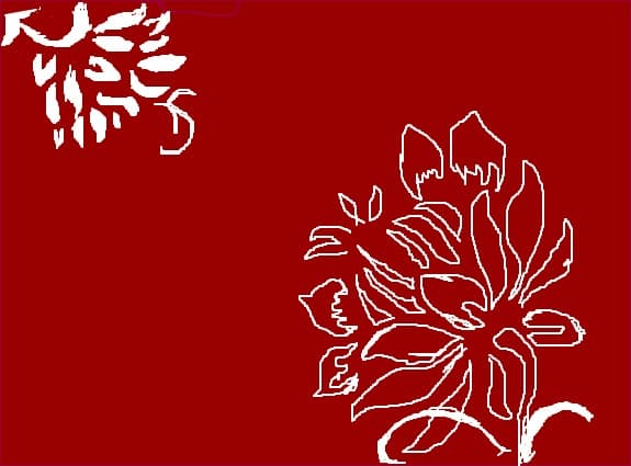 flowers wallpaper