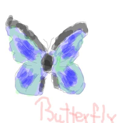 Butterfly