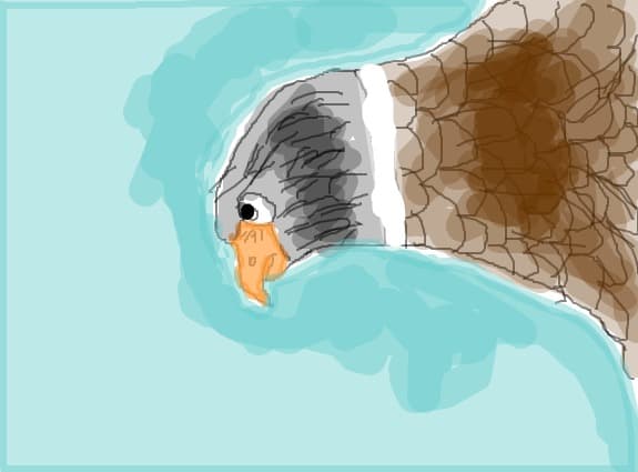 Vultur
