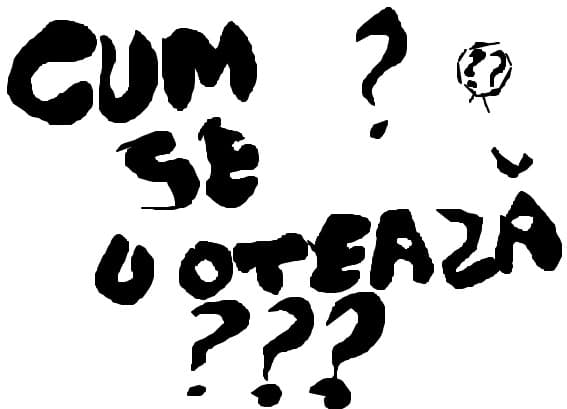 sa votez mai incolo ok va iubesc