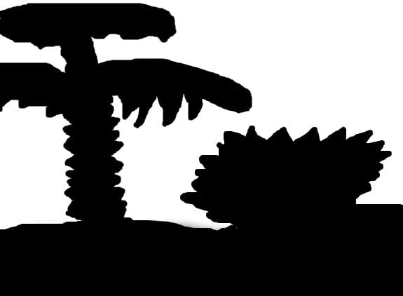 insula