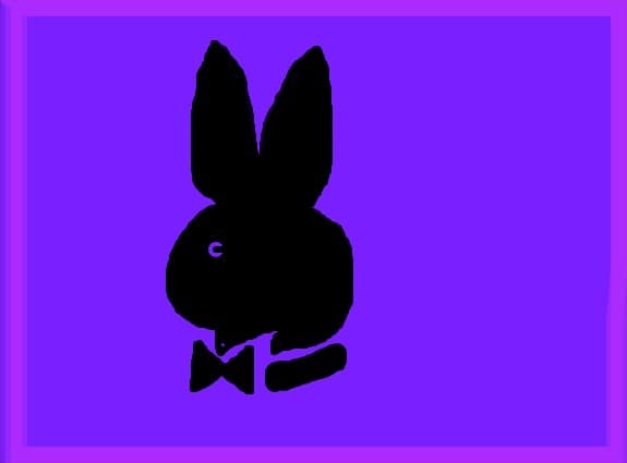 PlayBoy