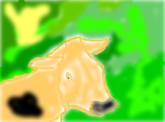 Madam Cow