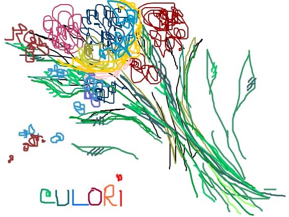 buchet de culori