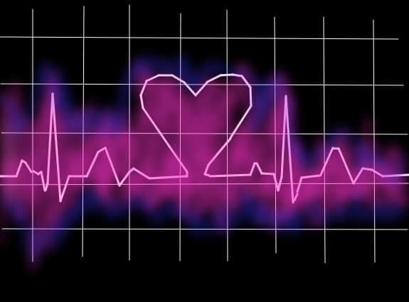 Heart