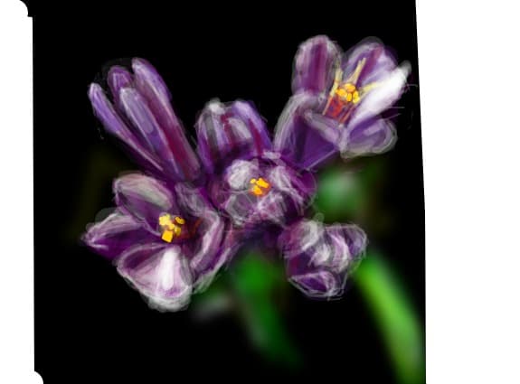flower power