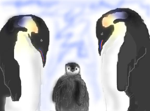 pinguini