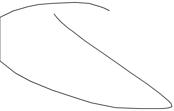 fds