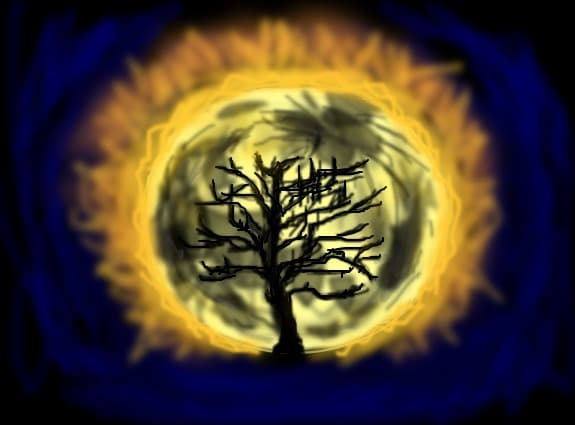 Luna***