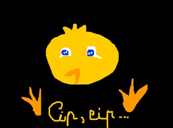 cip,cip