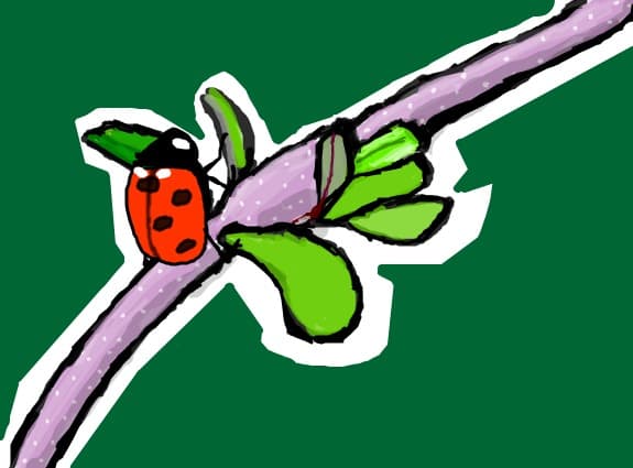 ~~**BuBuRuZa**~~