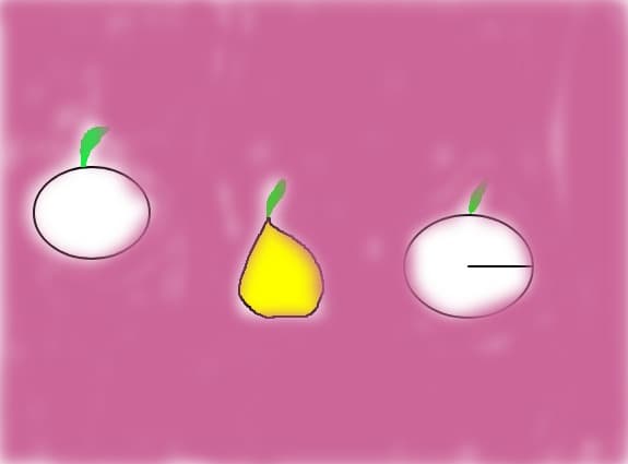 fructe