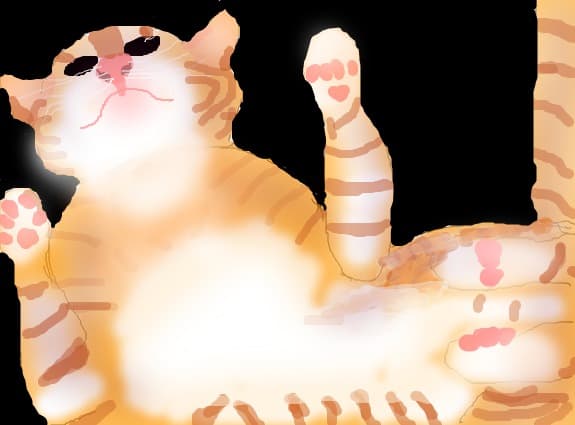 MY CAT