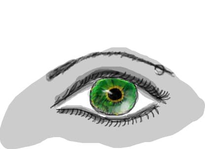 eye