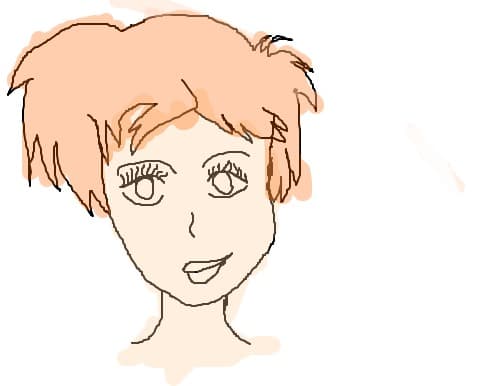 schita