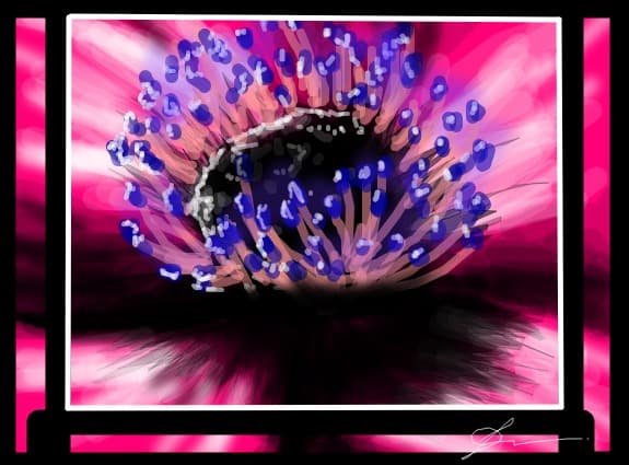 L\'anemone