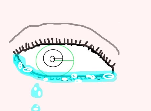 cl@udia