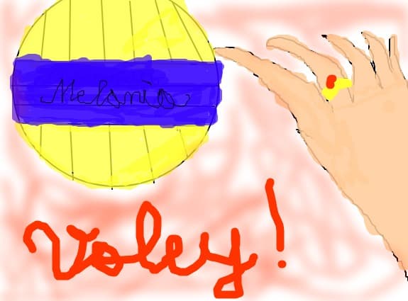 Minge de voley