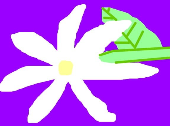 o floare