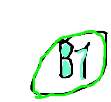 B1 Logo