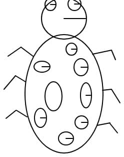 o insecta...