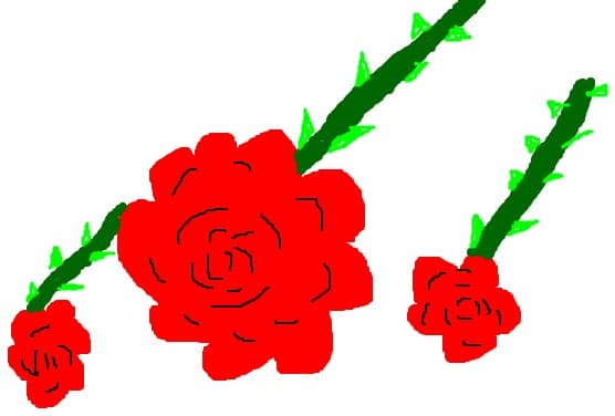 Rose ciudati
