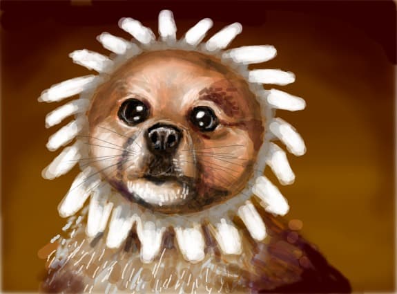 doggy flower- numai bun de pus in glastra:))