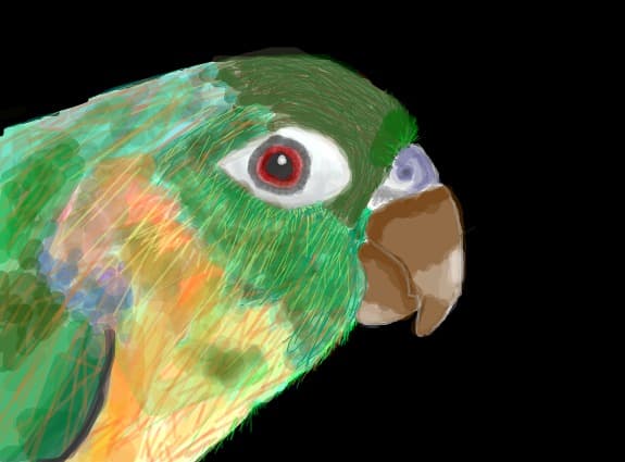 Desen 68740 continuat:..parrot...