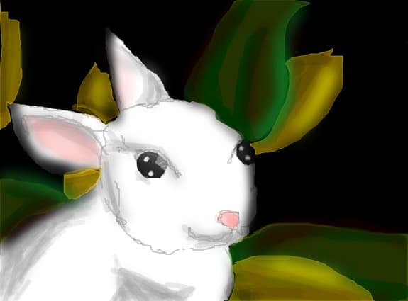 bunny