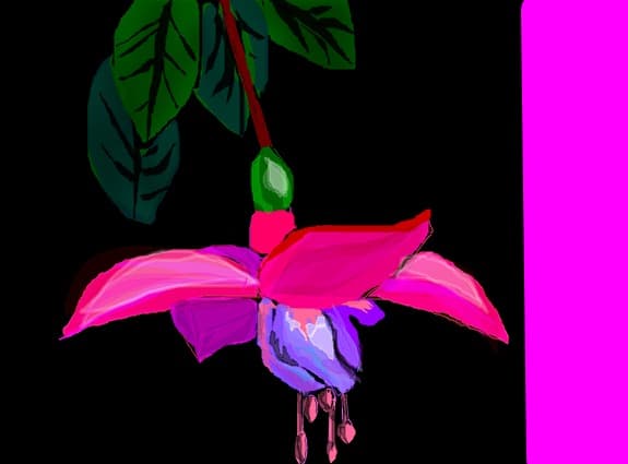 ...floare..