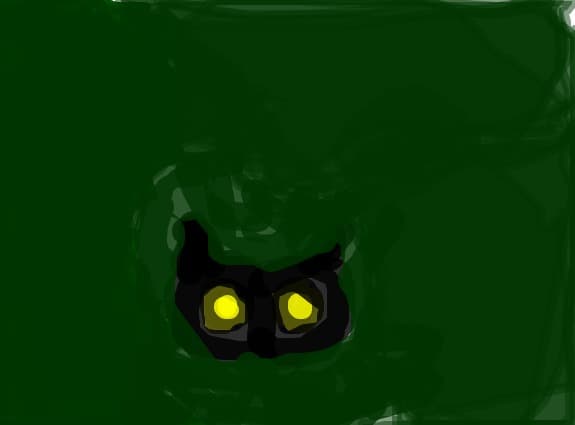 ochi