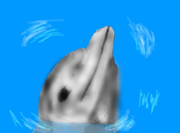 Un delfin