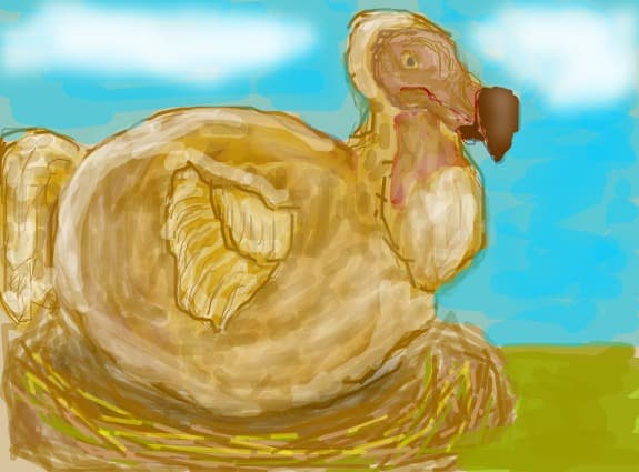 Dodo