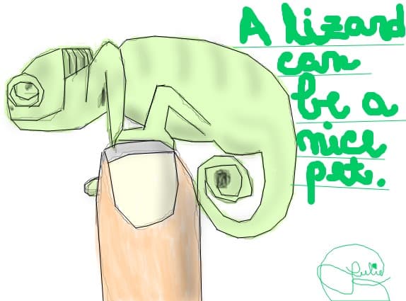 A lizard can be a nice pet...