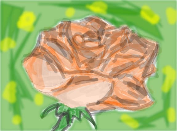 rose
