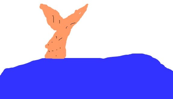 H2o