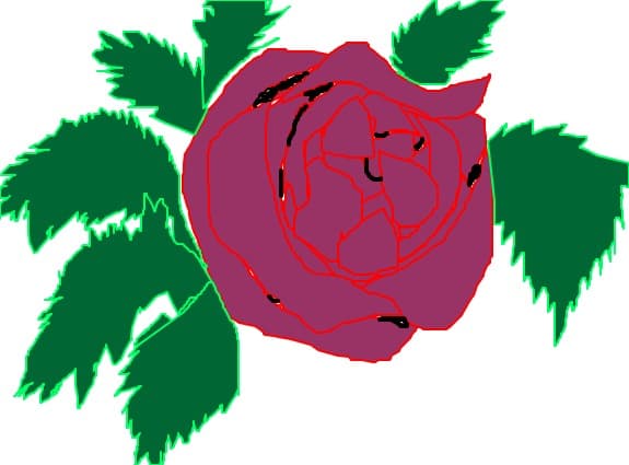 trandafir crina