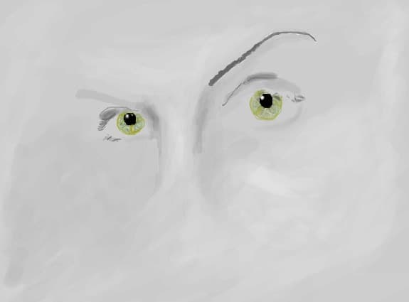 ochi