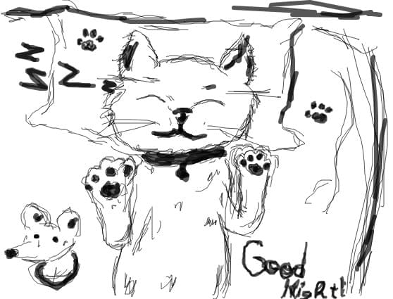 sweet cat