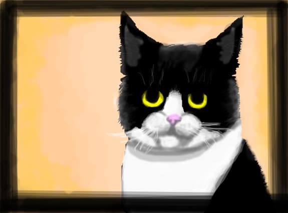 cat..