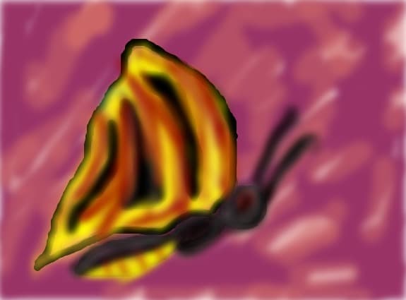 fluturash