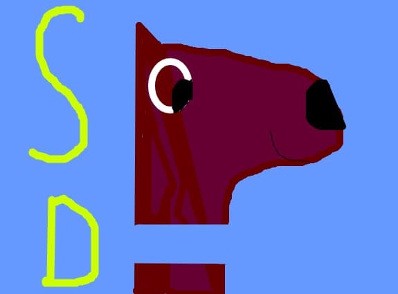 sd