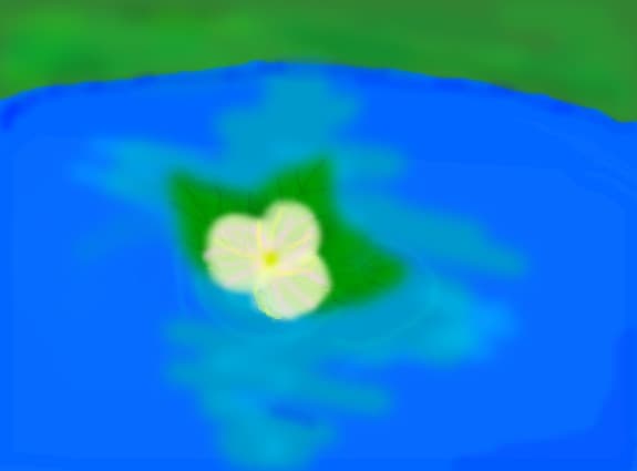 flower on the river