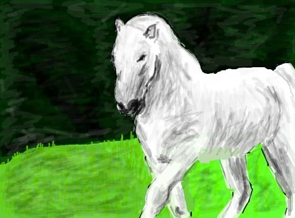white horse