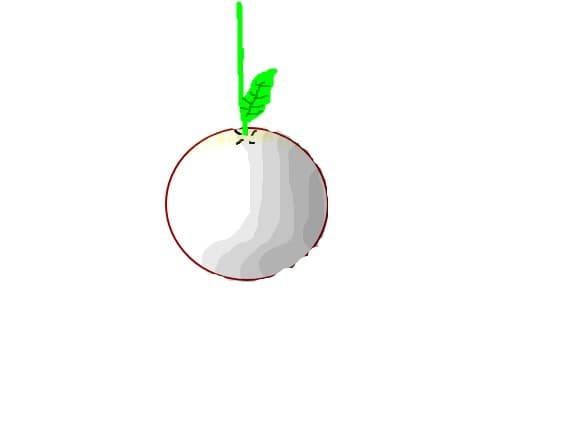 cireasa